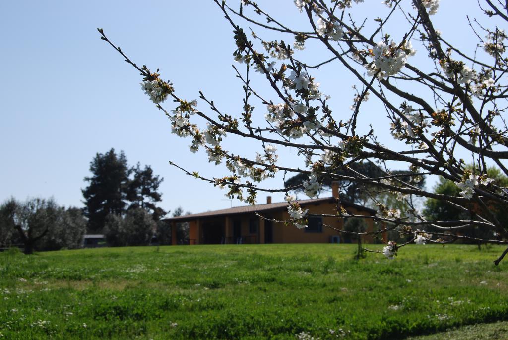 Casa Vacanze Vigna Di Valle Браччано Номер фото