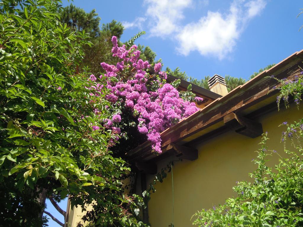 Casa Vacanze Vigna Di Valle Браччано Номер фото